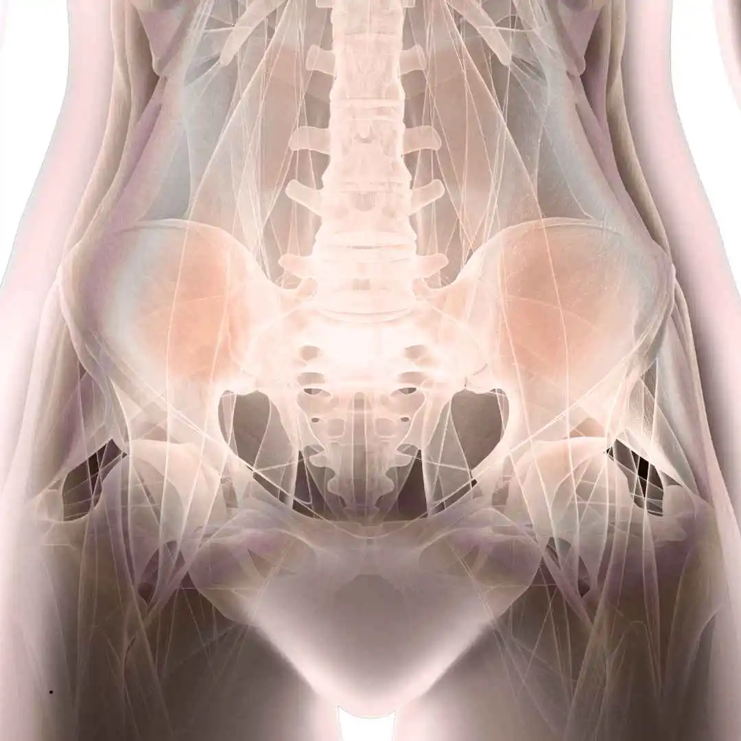 Woman's pelvis and hips with pelvic pain